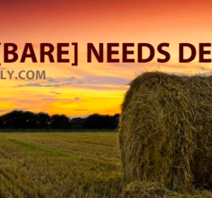 THE [BARE] NEEDS DECK