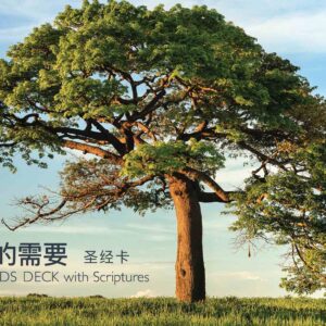 人人的需要圣经卡 The Needs Deck Chinese Scripture Cards Front Cover